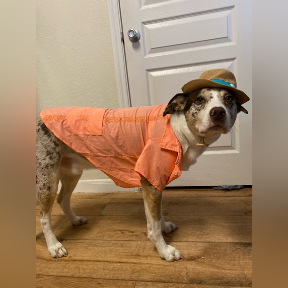 ⭐️LIVE SHOW LISTING⭐️ - Picture 8 of 10